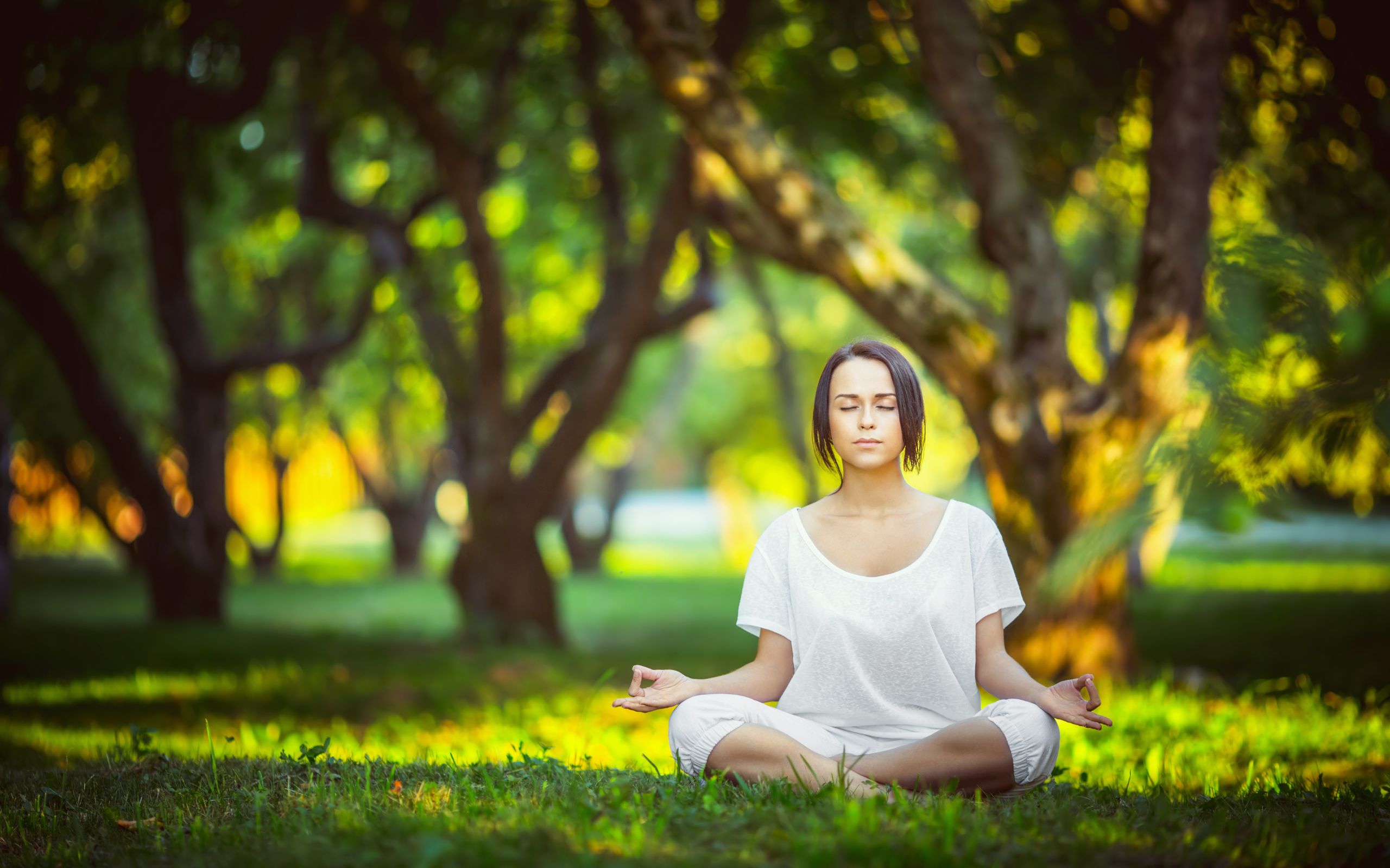 500+ Certified Ayurveda Doctors